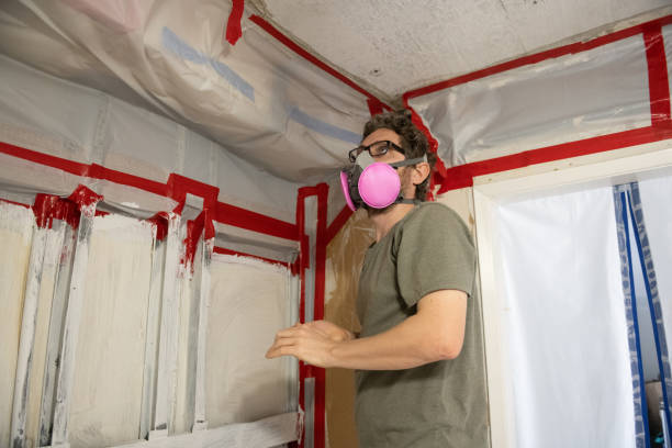 Biohazard Mold Removal