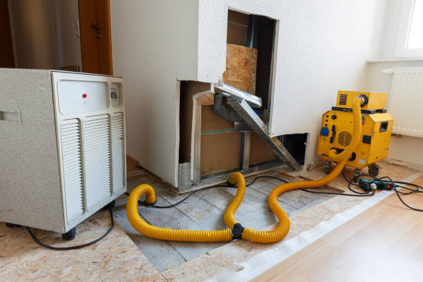 Best Attic Mold Removal  in Ketchum, ID